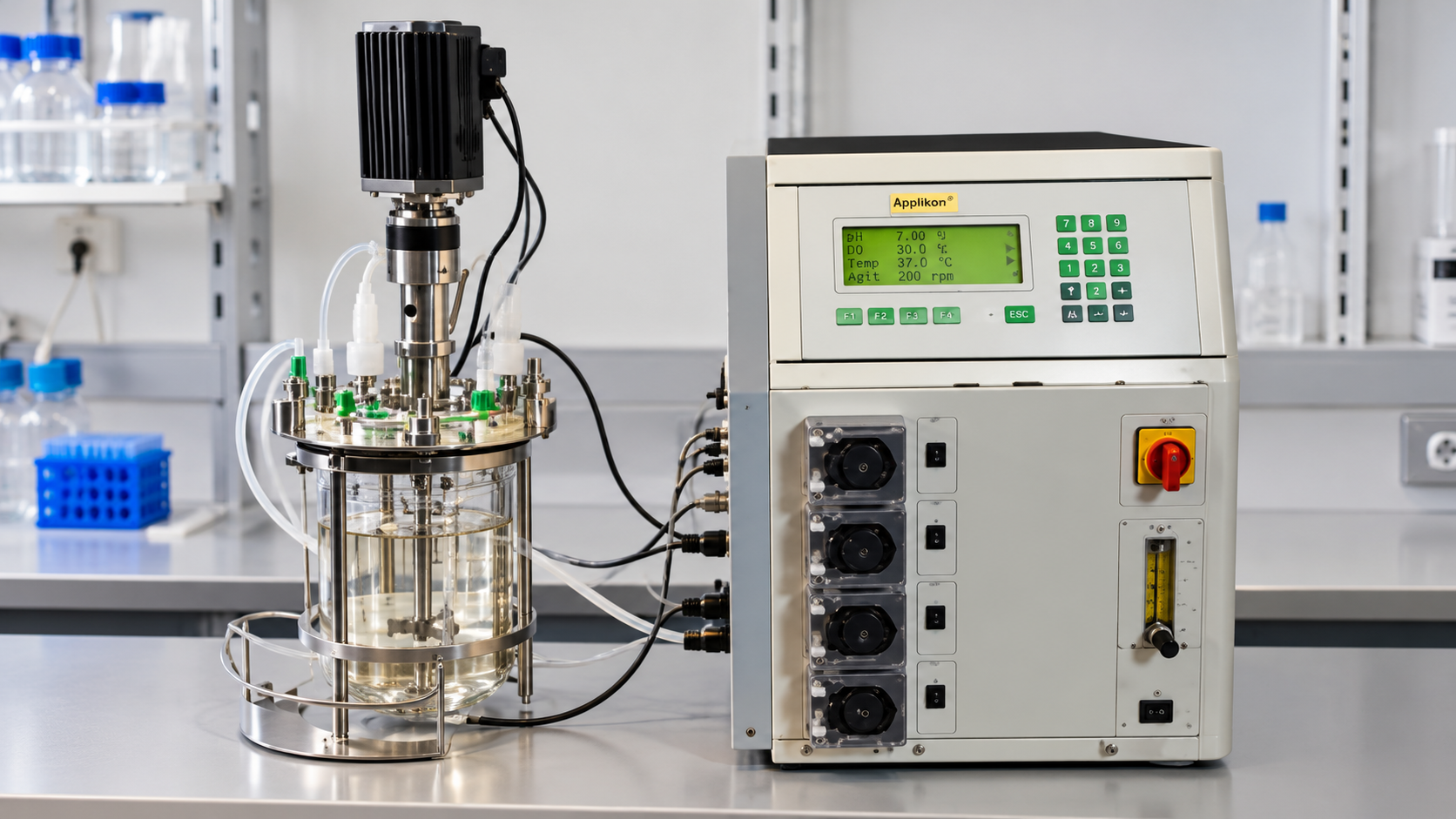 Biostat B 2 L bioreactor